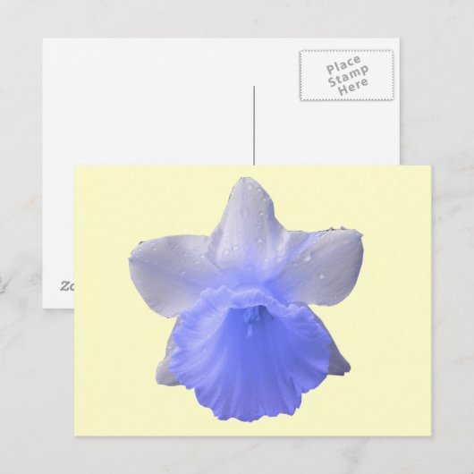 Blue Dripping Daffodil Flower Briefkaart (Voorkant / Achterkant)