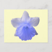 Blue Dripping Daffodil Flower Briefkaart (Voorkant)