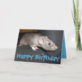 Blue Dumbo Rat verjaardagskaart Kaart (Voorkant)