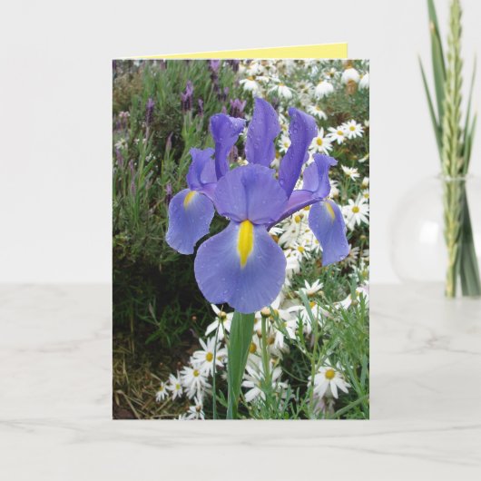 Blue Dutch Iris Flowers Floral Card Kaart (Voorkant)
