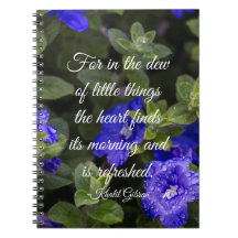 Blue Dwarf Morning Glory Inspirerend Quote