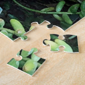 Blue Echeveria Imbricata & Green Sedum Succulent Legpuzzel (Zijkant)