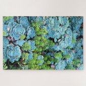 Blue Echeveria Imbricata & Green Sedum Succulent Legpuzzel (Horizontaal)