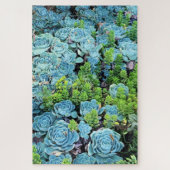 Blue Echeveria Imbricata & Green Sedum Succulent Legpuzzel (Verticaal)