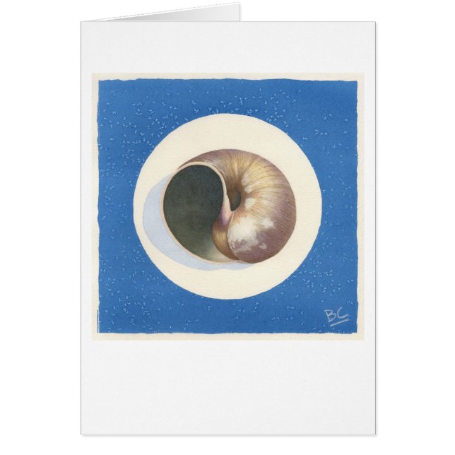 BLUE ECHO SHELL ECHOING (Voorkant)