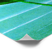 Blue Egyptian Water Lily / Lotus Illustration Poster (Hoek)