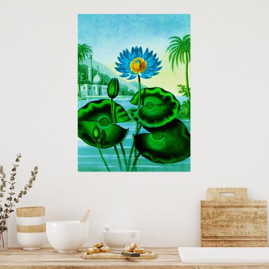 Blue Egyptian Water Lily / Lotus Illustration Poster (Keuken)