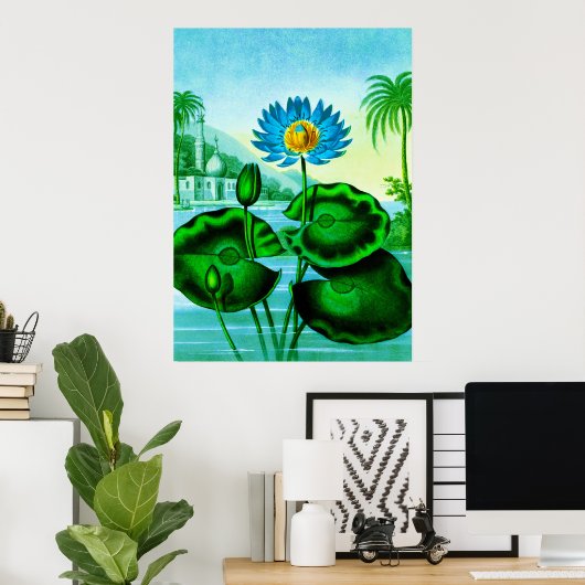 Blue Egyptian Water Lily / Lotus Illustration Poster (Thuiskantoor)