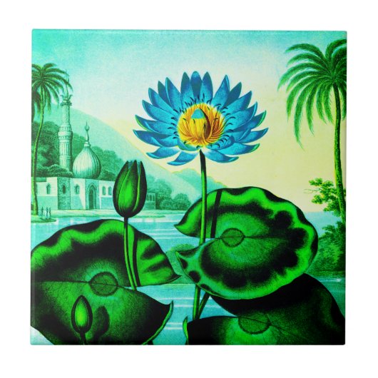 Blue Egyptian Water Lily / Lotus Illustration Tegeltje (Voorkant)