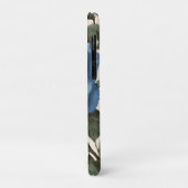 Blue Elegance:  provinciale Rozen in bloei Case-Mate iPhone Case (Achterkant/links)