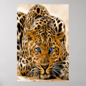Blue Eye Leopard Poster (Voorkant)