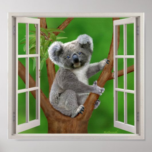 Blue-Eyed Baby Koala Beer Fake Window Poster (Voorkant)