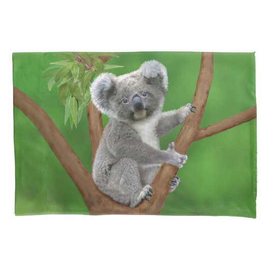 Blue-Eyed Baby Koala Beer Kussensloop (Voorkant-Links)