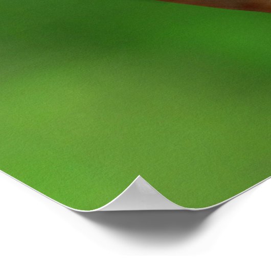 Blue-Eyed Baby Koala Beer Poster (Hoek)