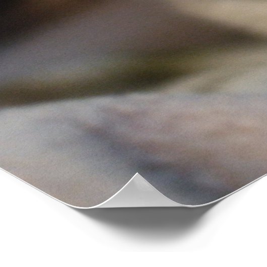 Blue Eyed Beauty Poster (Hoek)