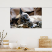 Blue Eyed Beauty Poster (Keuken)