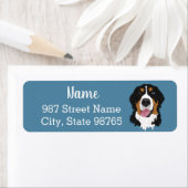 Blue Eyed Bernese Mountain Dog Etiket (Insitu)