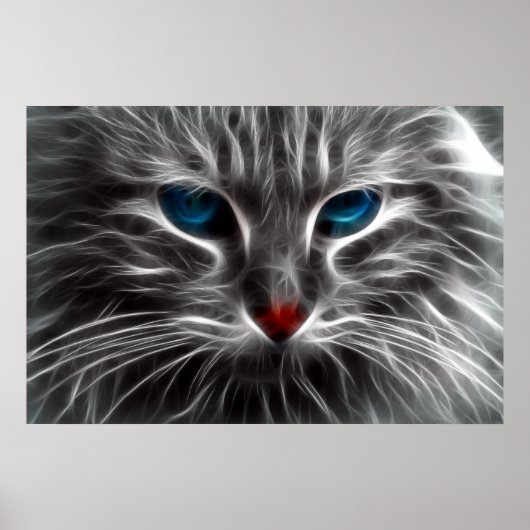 Blue Eyed Cat Animal Photo Natuur Wall Poster (Voorkant)