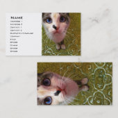 Blue Eyed Cat Business Card-sjabloon Visitekaartje (Voorkant / Achterkant)