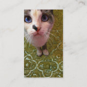 Blue Eyed Cat Business Card-sjabloon Visitekaartje (Achterkant)