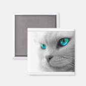 Blue Eyed Cat Magnet (Voorkant / Achterkant)