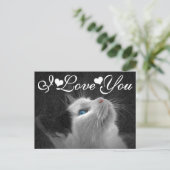 Blue Eyed Cat Photo Afbeelding Ik hou van je Briefkaart (Staand voorkant)