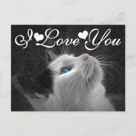 Blue Eyed Cat Photo Afbeelding Ik hou van je Briefkaart