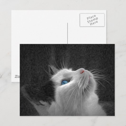 Blue Eyed Cat Photo Briefkaart (Voorkant / Achterkant)