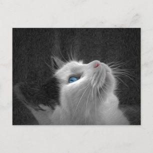 Blue Eyed Cat Photo Briefkaart