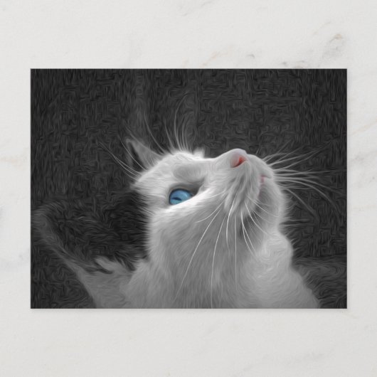 Blue Eyed Cat Photo Briefkaart (Voorkant)