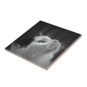 Blue Eyed Cat Photo Tegeltje (Zijkant)