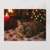 Blue-Eyed Christmas Cat Postcard Cozy Fireplace Briefkaart (Voorkant)