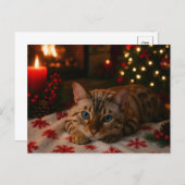 Blue-Eyed Christmas Cat Postcard Cozy Fireplace Briefkaart (Voorkant / Achterkant)