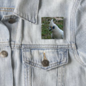 Blue Eyed Cockatau Vierkante Button 5,1 Cm (In situ)