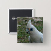 Blue Eyed Cockatau Vierkante Button 5,1 Cm (Voorkant /achterkant)