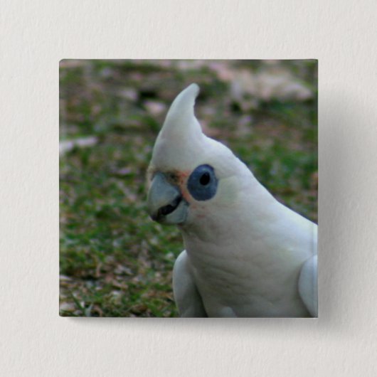 Blue Eyed Cockatau Vierkante Button 5,1 Cm (Voorkant)