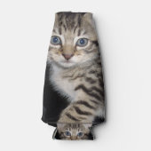 Blue Eyed Grey Fluffy Kitten Flesjeskoeler (Voorkant)