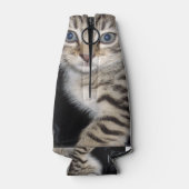 Blue Eyed Grey Fluffy Kitten Flesjeskoeler (Achterkant)