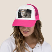 Blue Eyed Grey Fluffy Kitten Trucker Pet (In situ)
