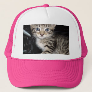 Blue Eyed Grey Fluffy Kitten Trucker Pet