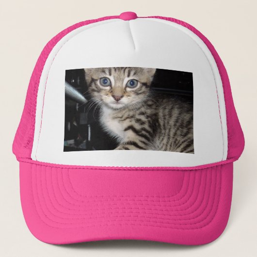 Blue Eyed Grey Fluffy Kitten Trucker Pet (Voorkant)