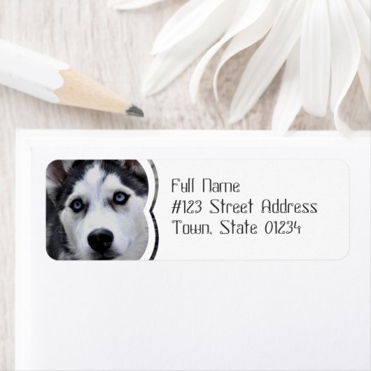 Blue Eyed Husky Mailing Labels (Insitu)