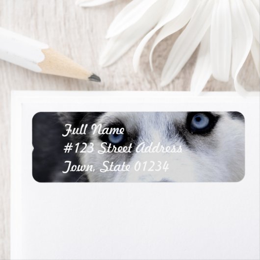 Blue Eyed Husky Mailing Labels (Insitu)