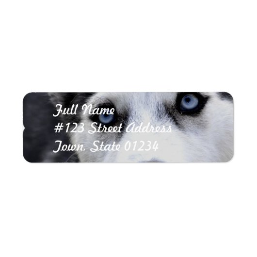 Blue Eyed Husky Mailing Labels (Voorkant)