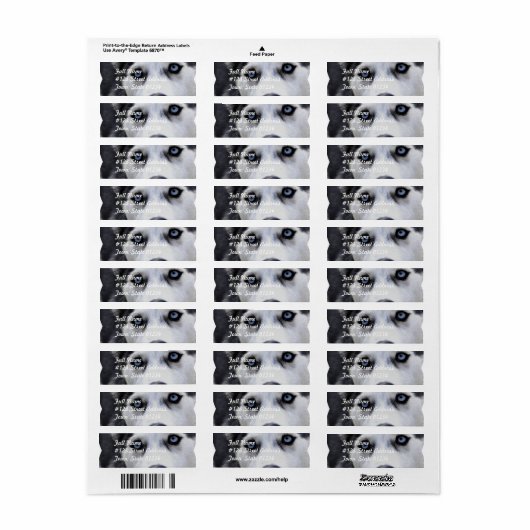 Blue Eyed Husky Mailing Labels (Full Sheet)