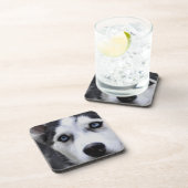 Blue Eyed Husky Set van zes Onderzetters (Rechterzijde)