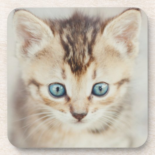 Blue Eyed Kat Bier Onderzetter (Voorkant)