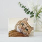 Blue Eyed Kat Briefkaart (Staand voorkant)