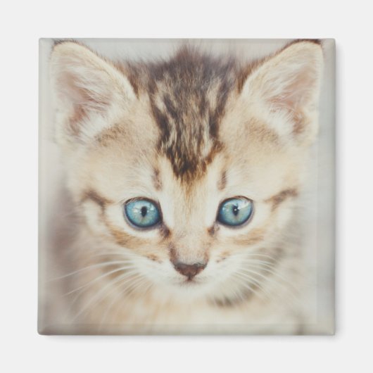 Blue Eyed Kat Magneet (Voorkant)