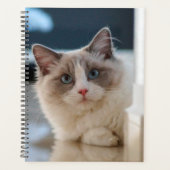 Blue Eyed Kat Planner (Voorkant)